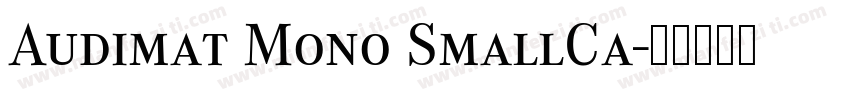 Audimat Mono SmallCa字体转换